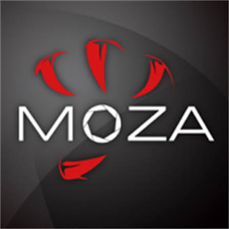 Gudsen MOZA Coupons and Promo Code