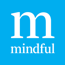 Mindful Store Coupons and Promo Code