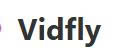 Vidfly2904 Coupons and Promo Code